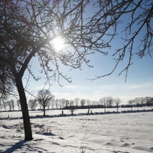 Winterangebot Massage